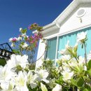 맑은물펜션 이미지