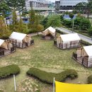 피크닉장 이미지