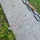 국제배드민턴장 이미지