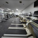다윗헬스클럽 이미지