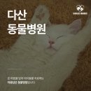다산동물병원 이미지