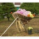 금밭 농장 이미지