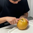 라임여행사주