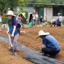 구미시농업기술센터 이미지