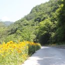산수벨리펜션