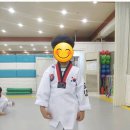 송강태권도 이미지