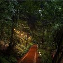 그린오토 이미지