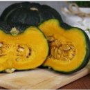 신기녹색농촌체험마을 이미지