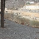 솔밭펜션 이미지