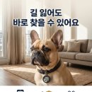 큐동물병원 | QR애완견인식표 찾다가 알게 된 스노큐, 강아지목걸이인식표·고양이목걸이인식표까지 한 번에 해결한 후기