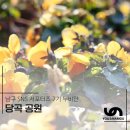 부산당곡공원 이미지