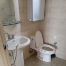 산호제일약국 이미지