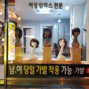모앤모명품가발