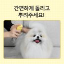 털보신집
