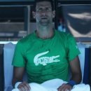 라이언 컴퍼니 이미지