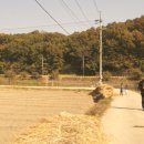 흑석 노루벌길 이미지