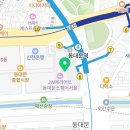 M by marie | 동대문미용실 M by Marie 뿌리염색 클리닉