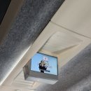 호대권투체육관 | 벌써 농구 개막한다고?!? _ 24-25 챔피언 결정전 4차전 직관