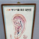 이난희이혈연구소