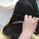 동백미용실 - 달서구 | 동백미용실