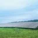 MS태양광발전소 이미지