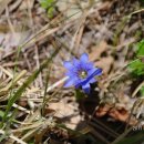 외포농장 이미지