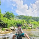 혜원민박 | 횡성 신대계곡 혜원네민박 피서지로 최고