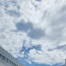 농업회사법인 마음이가 주식회사