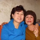 넙도초등학교 이미지