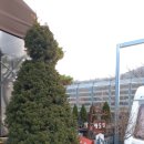 장모나물밥상 | 분당 '장모밥상' 내돈내산 솔직후기