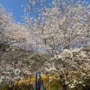 중앙역(바위) 이미지