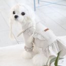 1807 쇼핑하우