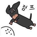 늘푸른초원