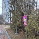 비전 | 🌿 2026 삼성영어 비전 세미나 후기 🌿