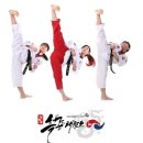 우일태권도 이미지