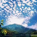 해뜨는 집 이미지