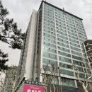포르스 | 효성 주얼리시티 돌반지, 순금카드, 비휴팔찌 구매 후기 (포르스주얼리)