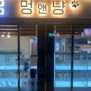 하남강아지 이미지