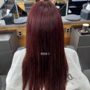 포도헤어(Podo Hair) | 보라매역 미용실 추천｜보그헤어 보라매역점에서 레드와인 염색 후기