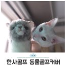 드라이버 커버 우드와 유틸리티 커버 한사골프로 세팅 후 필드고고씽
