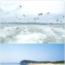 소롯길민박 이미지