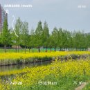 YOLO갈맷길 8코스 | [YOLO갈맷길] 2024.04.16 갈맷길 8코스2구간。
