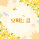 서담 행정사사무소 이미지