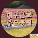 하늘품상조