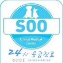 부천24시SKY동물메디컬센터 이미지