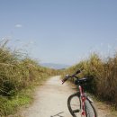 우포늪 자전거 대여소 이미지