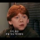 젤리빈스튜디오