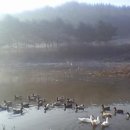 산타부동산공인중개사사무소 이미지