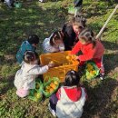 은하자연어린이집 이미지