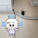 태영전업사 - 동구 중진길 2 | 태영전업사